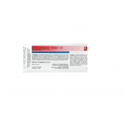 REKIN 42  10 AMPOLAS BEBÍVEIS  DR. RECKEWEG