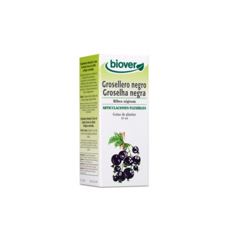 GROSELHA NEGRA  RIBES NIGRUM  50 ML GOTAS BIOVER
