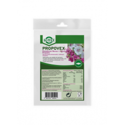 PROPOVEX REBUÇADOS PERPÉTUAS ROXAS 75 G  SOVEX