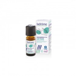 AR FRESCO MISTURA OE DIFUSAO BIO 10 ML LADROME