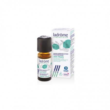AR FRESCO MISTURA OE DIFUSAO BIO 10 ML LADROME