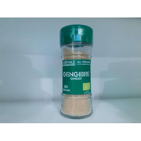 GENGIBRE MOIDO BIO 25 GR MAIS ERVAS