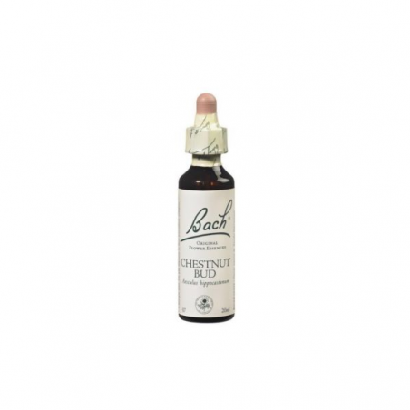 CHESTNUT BUD  20 ML  FLORAL DE BACH GOTAS