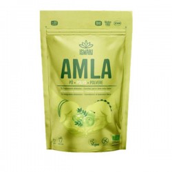 AMLA EM PÓ BIO 150 GRS ISWARI