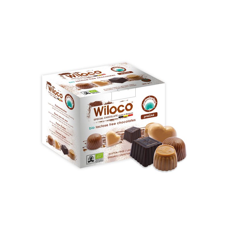 Sortido de Chocolates Pralinés BIO 250g