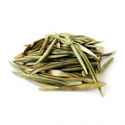 OLIVEIRA FOLHAS 50 GRS