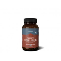 FERMENTED LION S MANE 50 CAPSULAS TERRA NOVA