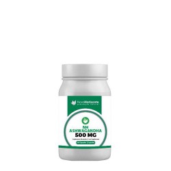 NH ASHWAGANDHA 500 MG 60 CAPSULAS NOVO HORIZONTE