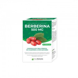 BERBERINA 500 MG 90 CAPS NOVO HORIZONTE