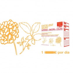 EXCELENT NEURO HUPERZIA BACOPA COLINA 30 AMPOLAS FARMOPLEX