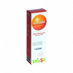 Vitasil Articulasil MSM Gel 225ml