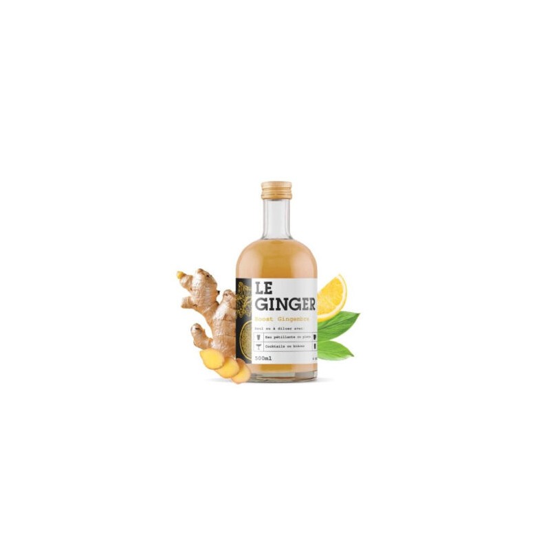 GOPY GENGIBRE 500 ML LE GINGER
