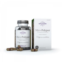 MICO POLYPOR 70 CAPS HIFAS DA TERRA