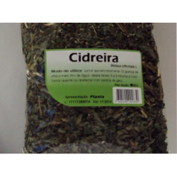 CIDREIRA PLANTA 50 G MELISSA OFFICINALIS CHÁ HUNOS