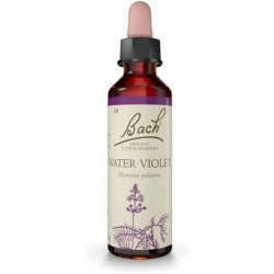 WATER VIOLET  20 ML  FLORAIS DE BACH FLORAIS