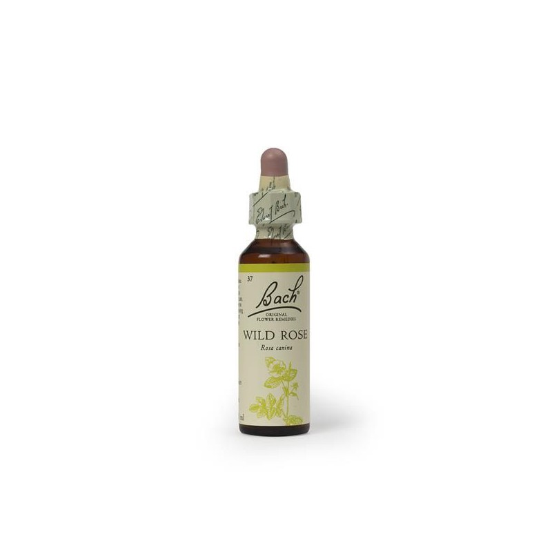 FLORAIS DE BACH WILD ROSE 20 ML 