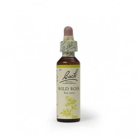 FLORAIS DE BACH WILD ROSE 20 ML 
