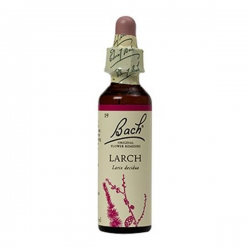 LARCH (SEGURO) FLORAL DE BACH 20 ML