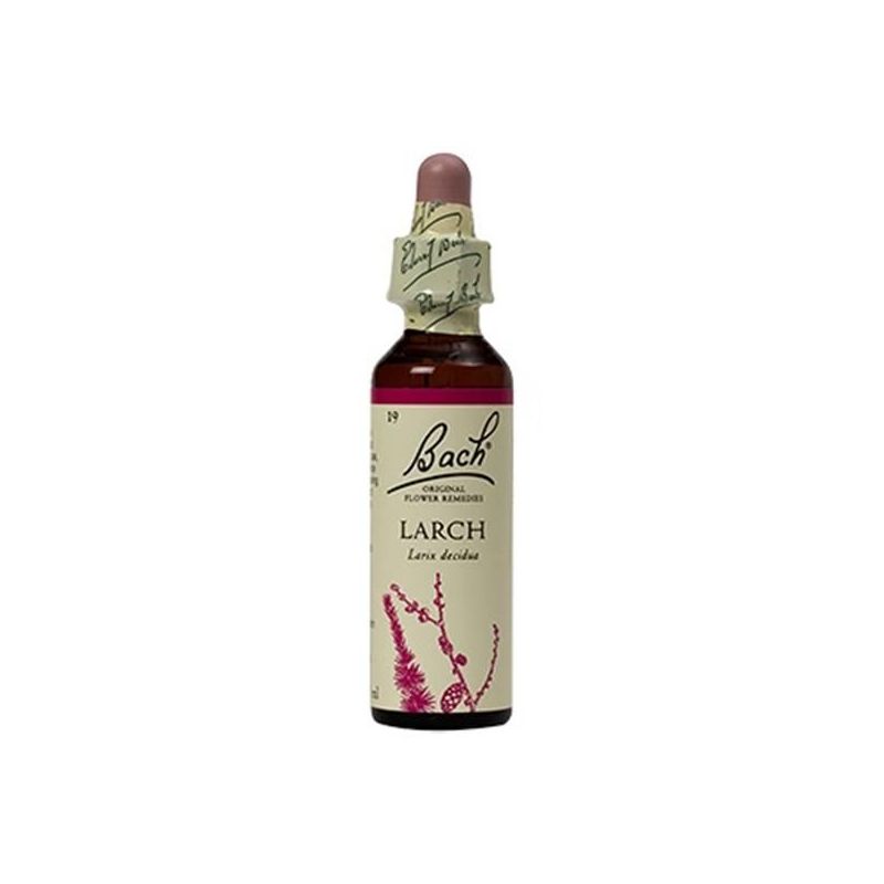 LARCH (SEGURO) FLORAL DE BACH 20 ML