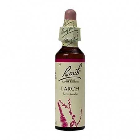 LARCH (SEGURO) FLORAL DE BACH 20 ML