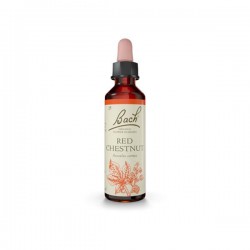 RED CHESTNUT  20 ML  FLORAL DE BACH FLORAIS