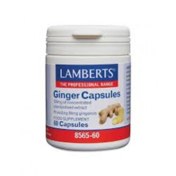 GINGIBRE RAIZ 14.400 MG 60 CAPSULAS LAMBERTS
