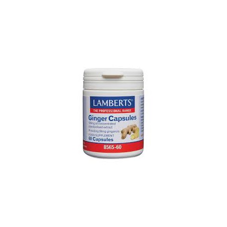GINGIBRE RAIZ 14.400 MG 60 CAPSULAS LAMBERTS