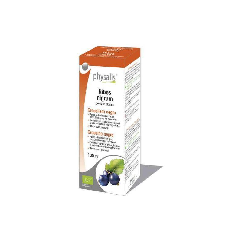 RIBES NIGRUM BIO GOTAS 100 ML PHYSALIS