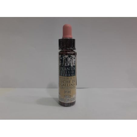 STAR OF BETHLEHEM N 29 PLANTIS ELIXIR FLORAL LECHE DE GALLINA 10 ML