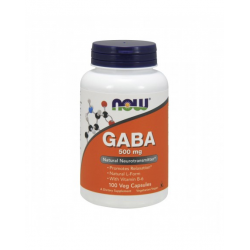 GABA 500 MG  COM VITAMINA B6 100 CAPS NOW