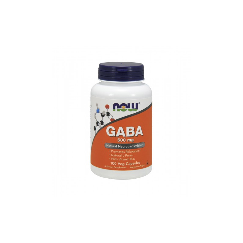 GABA 500 MG  COM VITAMINA B6 100 CAPS NOW