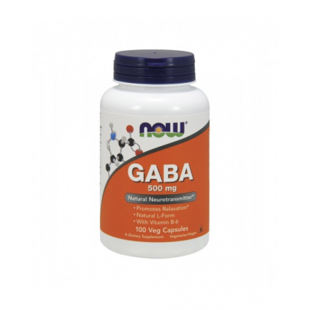 GABA 500 MG  COM VITAMINA B6 100 CAPS NOW