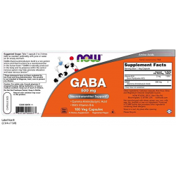 GABA 500 MG  COM VITAMINA B6 100 CAPS NOW