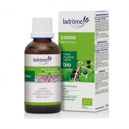 GROSELHEIRA RIBES NIGRUM BIO 50 ML LADROME EXTRATO HIDROALCOOLICO GOTAS