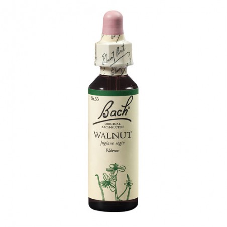 FLORAL BACH WALNUT 20 ML ADAPTABILIDADE