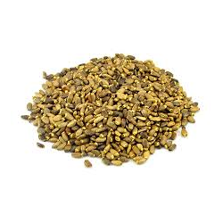 CARDO MARIANO PLANTA 50 GRS