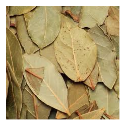 ABACATE FOLHAS 50 GR CHA HUNOS