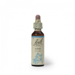 VINE 20 ML RECONFORTO FLORAL DE BACH RESPEITO