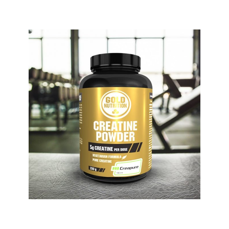 CREATINE POWDER 280 GRS GOLD NUTRITION 