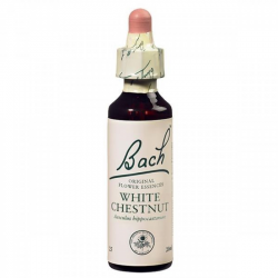 Florais de Bach White Chestnut 20ml